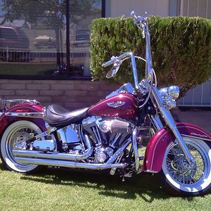 Meet your Posher, Alan